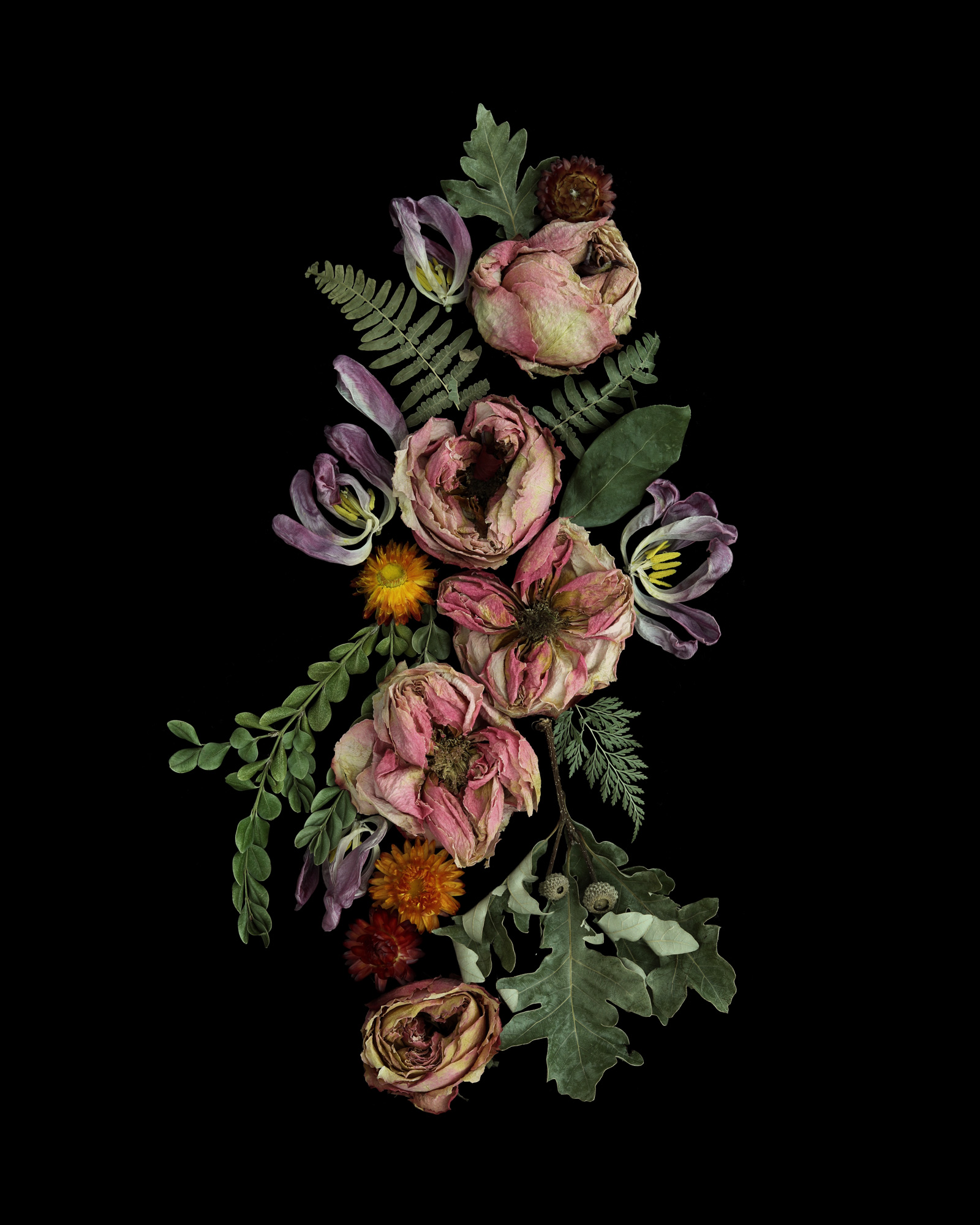 Happy Birthday Gammy!