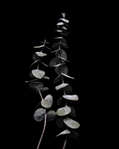 Like a Japanese Pagoda