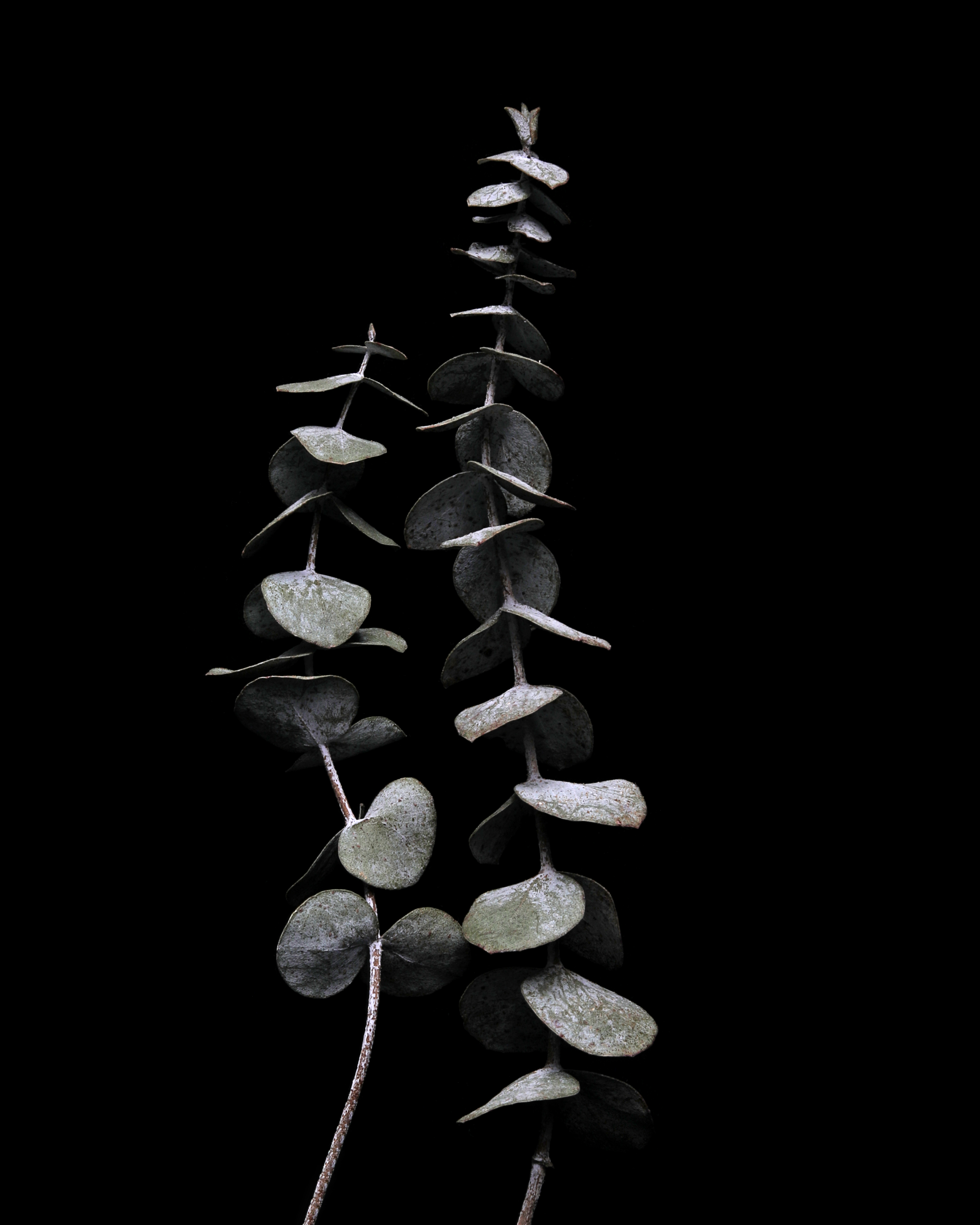 Like a Japanese Pagoda