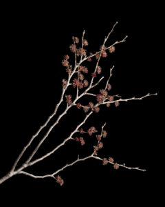 On the verge of the Big Bang!