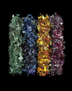 nature’s confetti