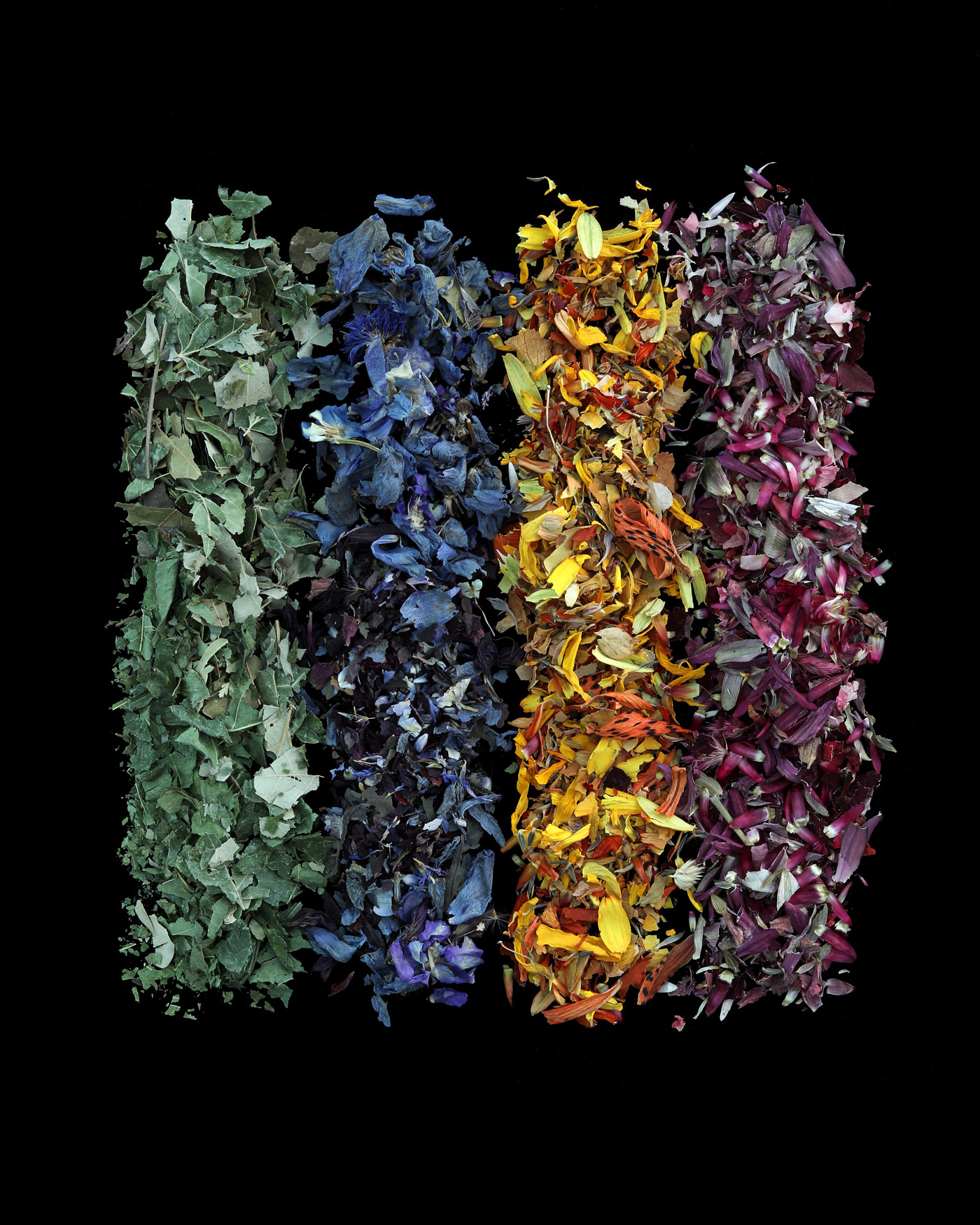 nature’s confetti
