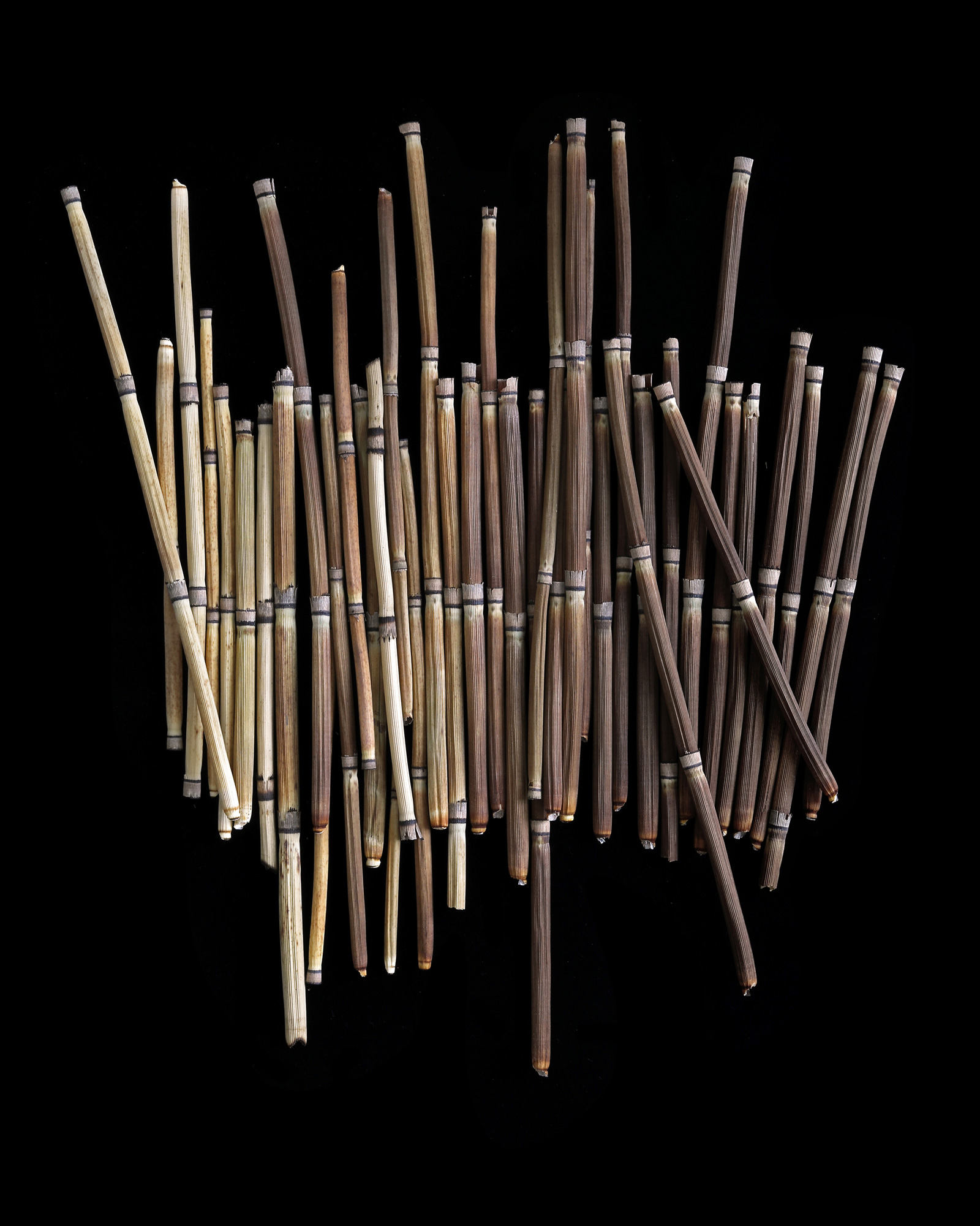 Before the green curtain descends