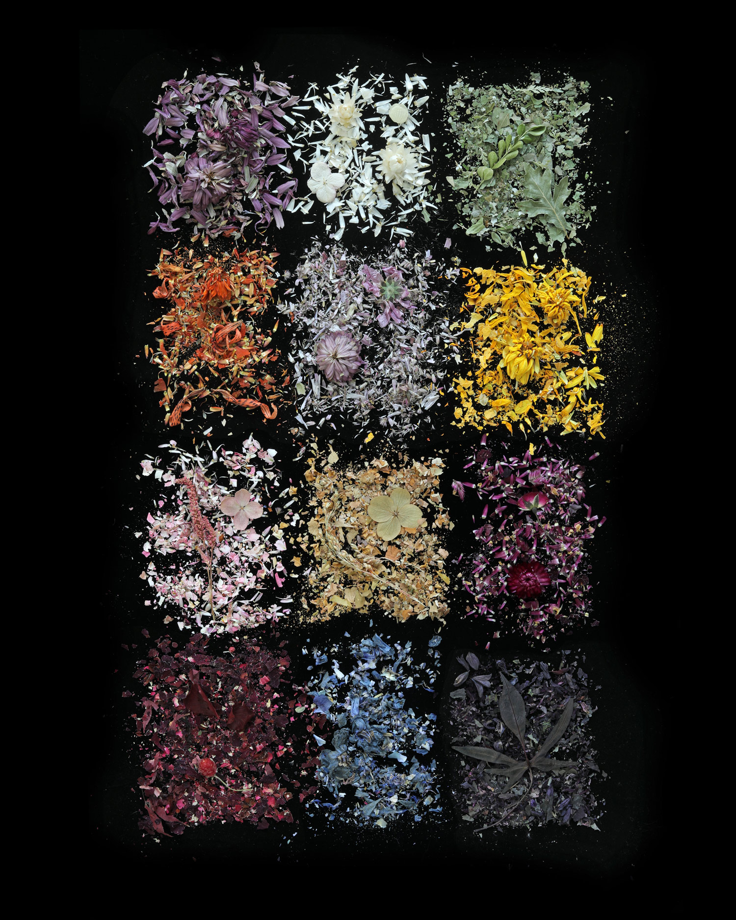 emergency root canal