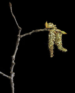 Beautiful or interesting