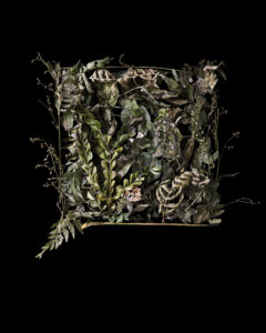 Make a Frame. Break a Frame.