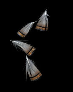 curious gifts