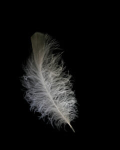 light as a feather