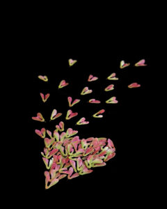 breaking free