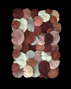 A none Northern color palette