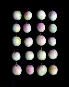 plum assignment