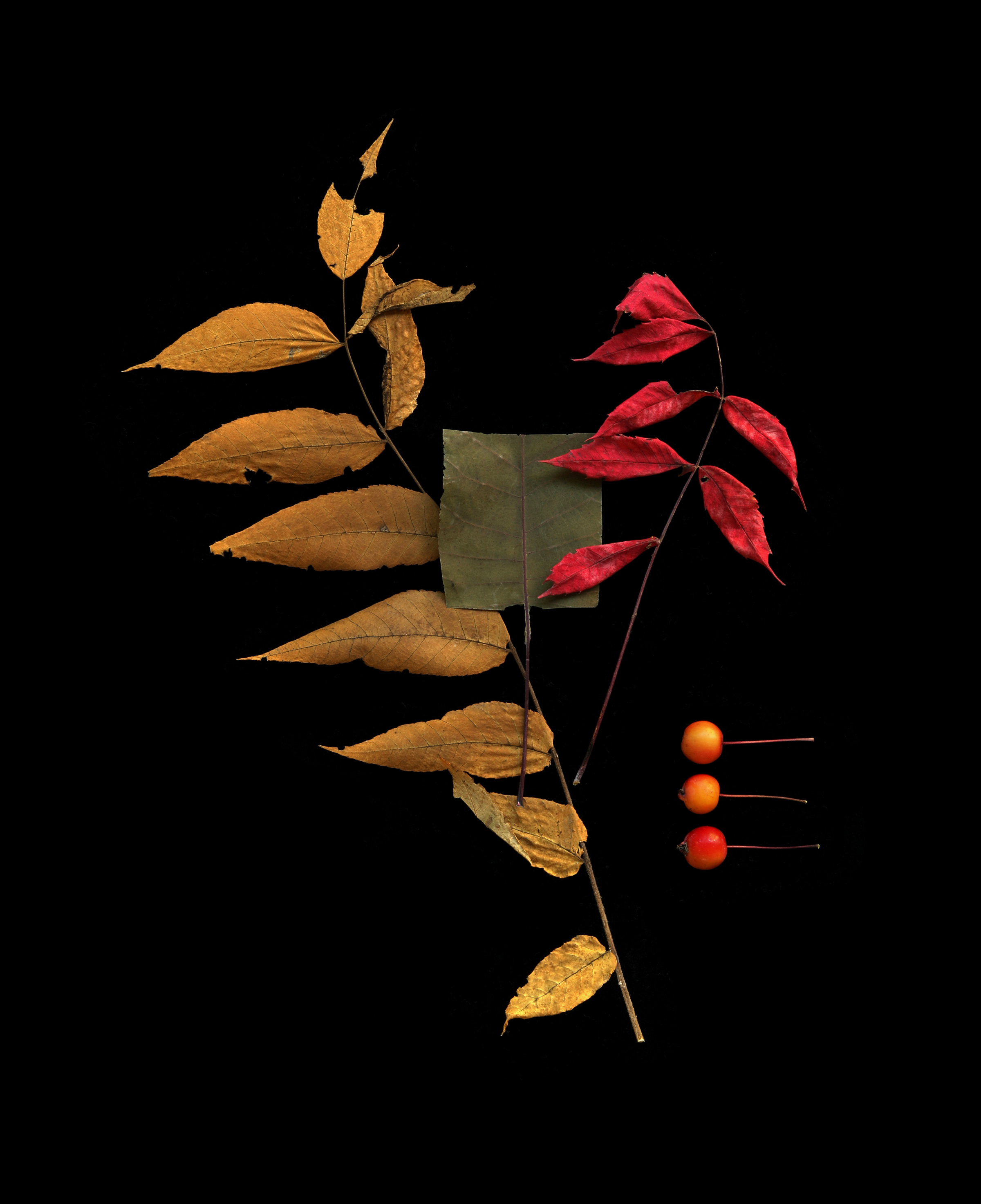 in am autumn mood