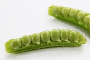 early summer peas