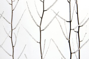 ghost branches