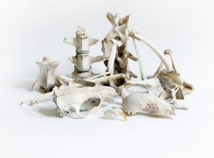 still life with bones