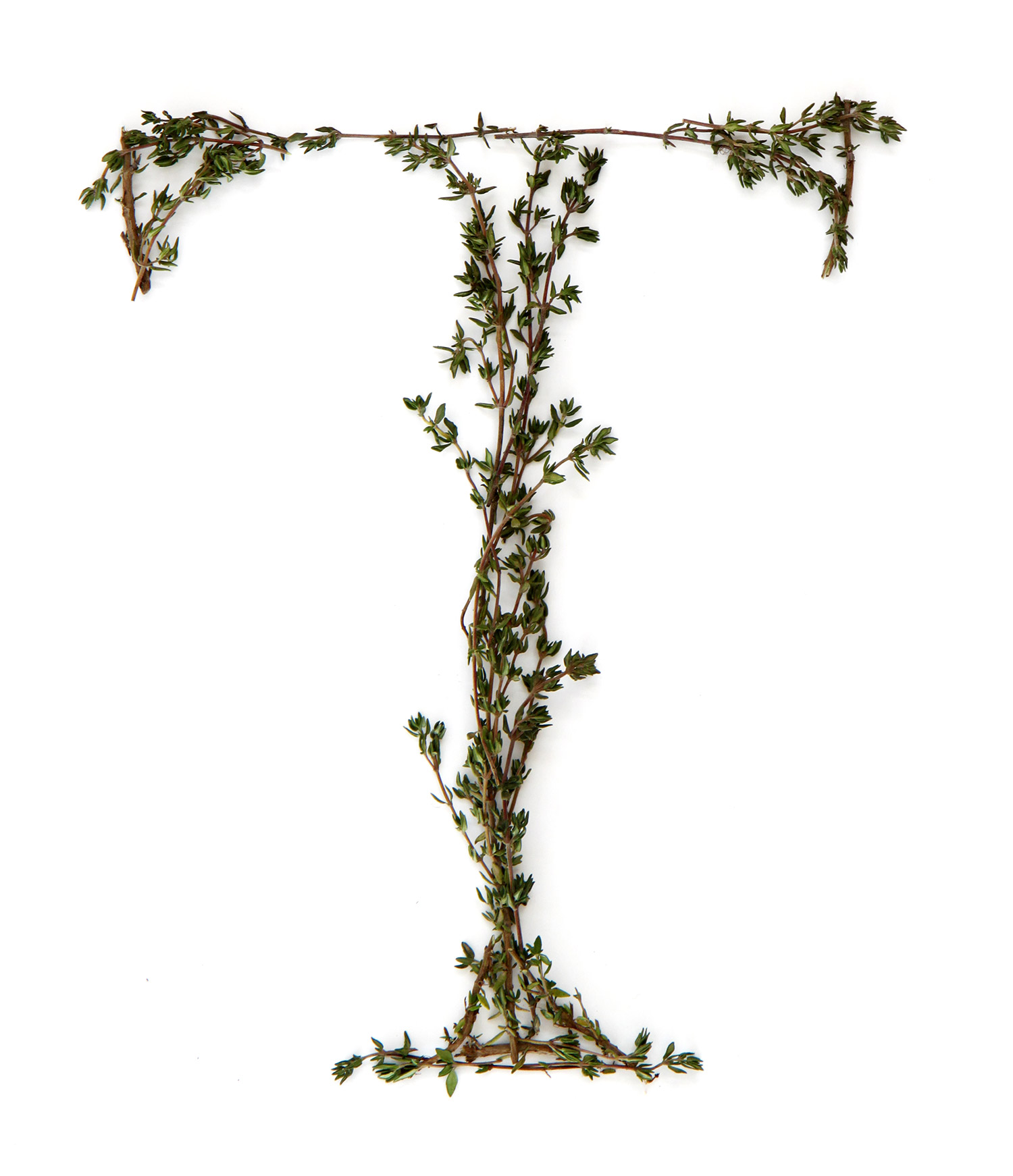 t is for thyme