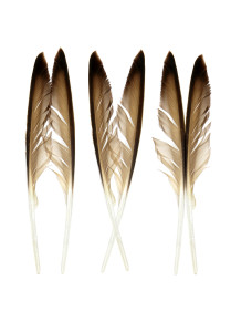 two feathers three ways