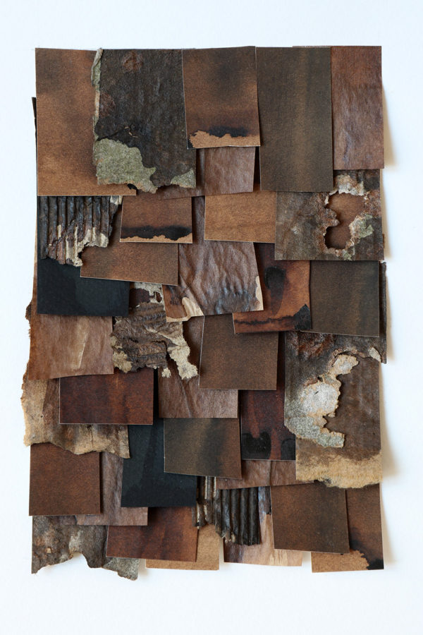 shingled collage: brown