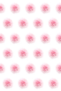 the annoying bliss of pink carnation polka dots