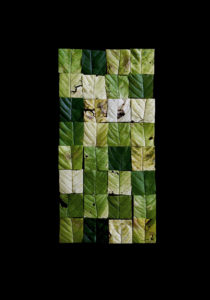 leaf quilt