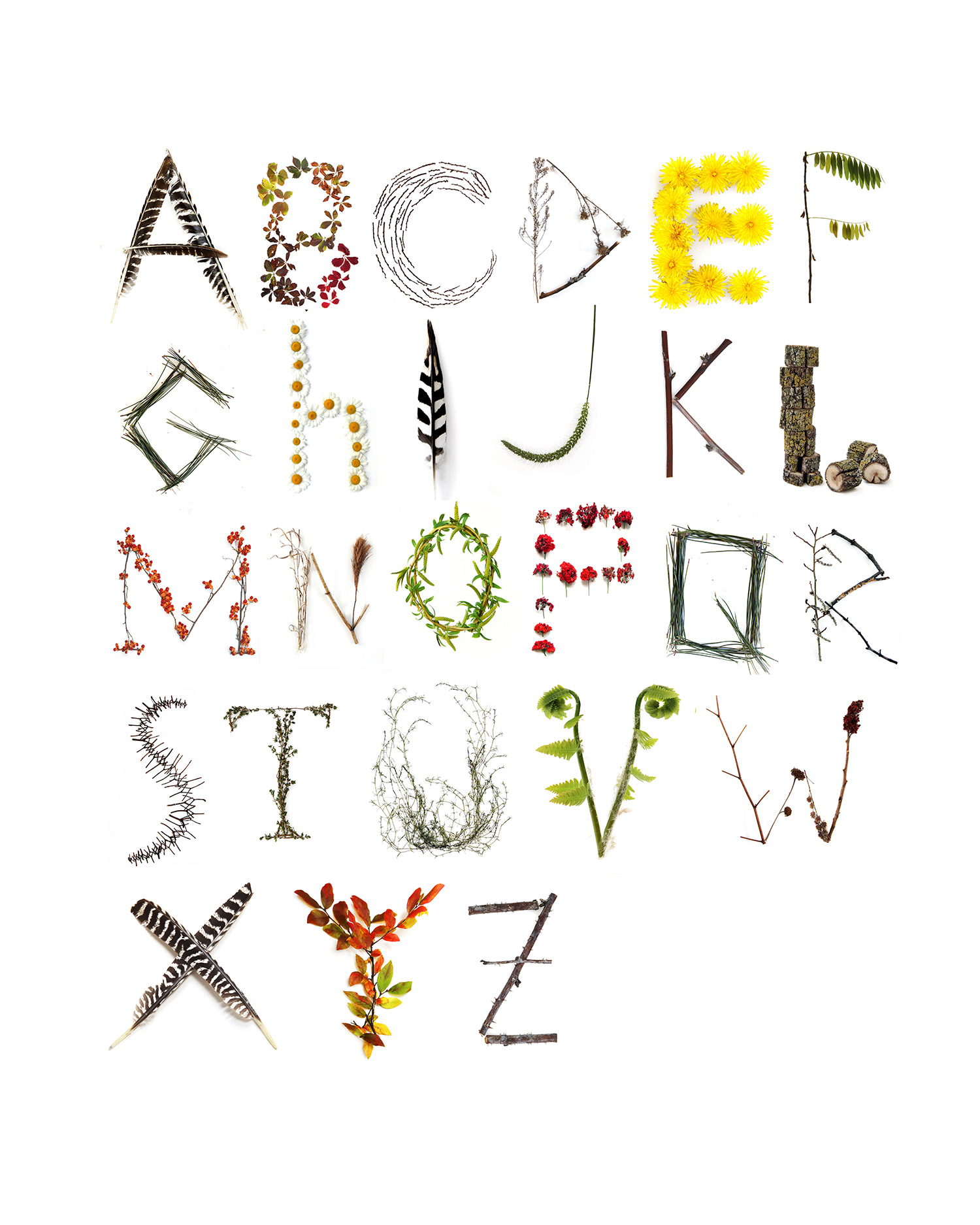 nature alphabet rerun