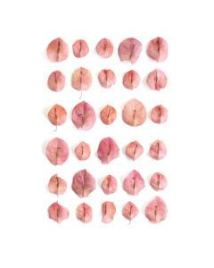 30 shades of pink