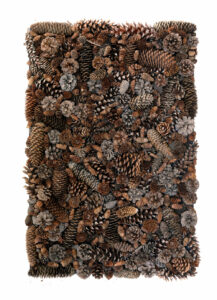 pine cone carpet