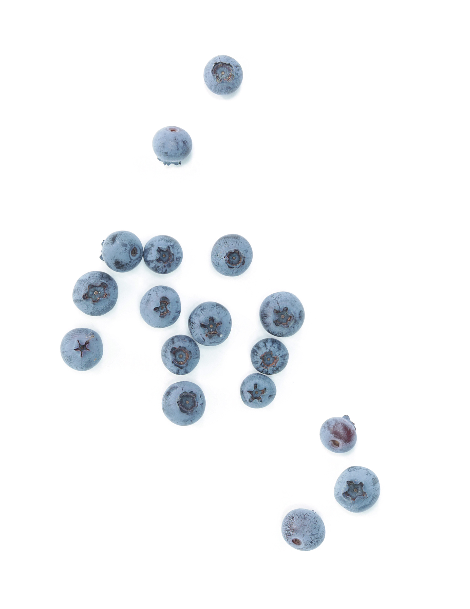 Blueberries for Sal